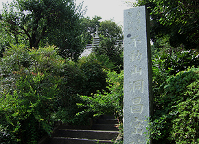 埼玉県秩父郡長瀞町商工会は、2010年9月、七草寺に咲いている,秋の七草(撫子・女郎花・桔梗・藤袴・尾花・葛・萩)の開花情報(開花状況)をお伝えします。長瀞・宝登山は、東京(都内)近郊(周辺)の日帰りドライブコース(日帰りハイキングコース:日帰りデートスポット)として関東地方(首都圏)でも有名です。
