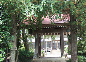 埼玉県秩父郡長瀞町商工会は、2010年9月、七草寺に咲いている,秋の七草(撫子・女郎花・桔梗・藤袴・尾花・葛・萩)の開花情報(開花状況)をお伝えします。長瀞・宝登山は、東京(都内)近郊(周辺)の日帰りドライブコース(日帰りハイキングコース:日帰りデートスポット)として関東地方(首都圏)でも有名です。