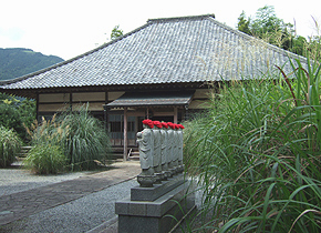 埼玉県秩父郡長瀞町商工会は、2010年9月、七草寺に咲いている,秋の七草(撫子・女郎花・桔梗・藤袴・尾花・葛・萩)の開花情報(開花状況)をお伝えします。長瀞・宝登山は、東京(都内)近郊(周辺)の日帰りドライブコース(日帰りハイキングコース:日帰りデートスポット)として関東地方(首都圏)でも有名です。