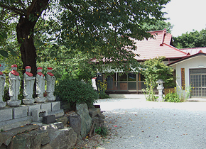 埼玉県秩父郡長瀞町商工会は、2010年9月、七草寺に咲いている,秋の七草(撫子・女郎花・桔梗・藤袴・尾花・葛・萩)の開花情報(開花状況)をお伝えします。長瀞・宝登山は、東京(都内)近郊(周辺)の日帰りドライブコース(日帰りハイキングコース:日帰りデートスポット)として関東地方(首都圏)でも有名です。
