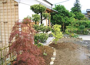 M's Garden